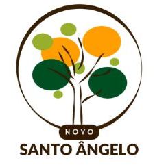Novo Santo Angelo